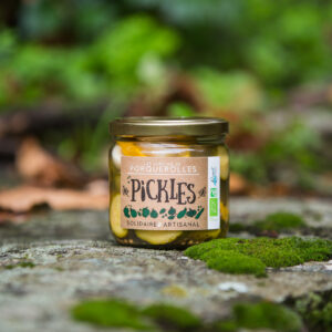 Pickles de bio de courgettes jardins de Porquerolles